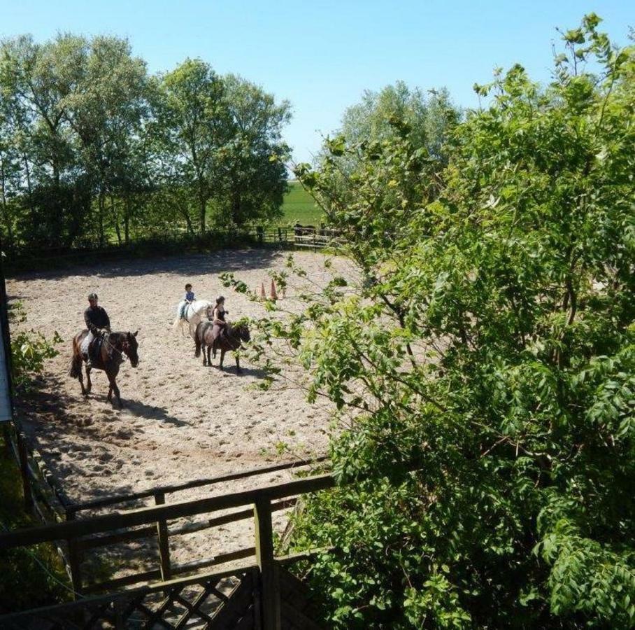 Ferienhof Frerichs Ihr Feriendomizil Am Meer Шиллиг Экстерьер фото